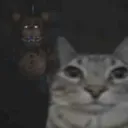 eljoseph01024 avatar