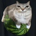 plingus_the_plingle
