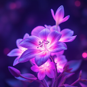 user_sm0jt3ad37x3v91e member profile picture
