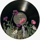 violet444