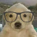 perro_gamer_777 avatar