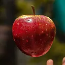 fatapple12