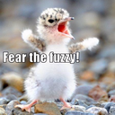 fuzzioni