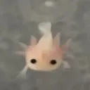 hxkuuu