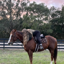 avatar Cream˚ ༘♡ ⋆｡˚ ❀