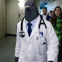 the_incomu123 avatar