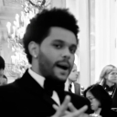 avatar 𝑹𝒐𝒔𝒂