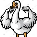 goose4c6