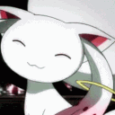 gatobranco0