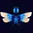 ok.dragonfly5806