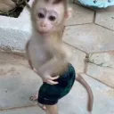 itshusseinnn31