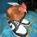 goldenchicken1 avatar