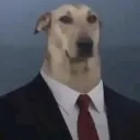 whiteprinc