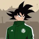 playverdonez avatar