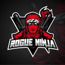 rogueninja1996