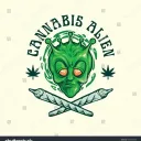 officialdanksy
