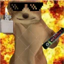 jimmybutnothacked avatar