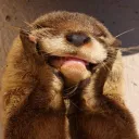 sn_otter_