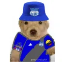 e.valverde777 avatar