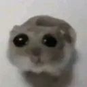 caranooow.