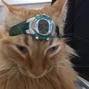 addion
