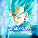 saiyanbradon