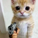 kla123coc_23537 avatar