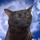 a discord avatar