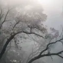 Аватар skyalt__