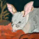 dalgyte