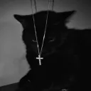 _n1ghtzz_