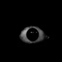 xzxz_zxzx17 avatar
