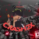 hhs_crash