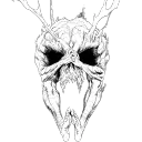 null_user1