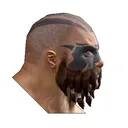 tzahr