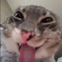 affanwakeel_88750 avatar