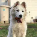 .arkyn