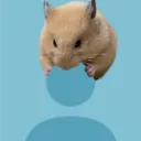 hamzz_0044