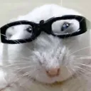 hamzz_0044