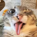 espejofandon8 avatar