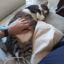 gianluca_casu