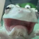 jdgxyz