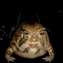 avatar 𝓛𝔂𝓯𝓲𝓮𝓮๑ଓ