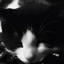 iwanpendekarnasi avatar