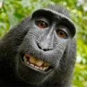 Profilbild för qp1212