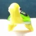 shookie