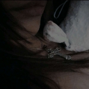 avatar 𝑓ʀᴇɪᴀ