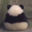 arkantyk#0600's avatar