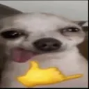 Аватар yo2.00803