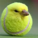 mrfooliscooked2